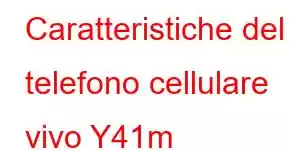 Caratteristiche del telefono cellulare vivo Y41m