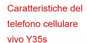 Caratteristiche del telefono cellulare vivo Y35s