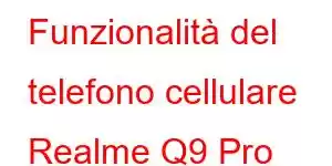 Funzionalità del telefono cellulare Realme Q9 Pro