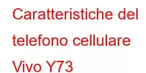 Caratteristiche del telefono cellulare Vivo Y73