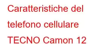 Caratteristiche del telefono cellulare TECNO Camon 12