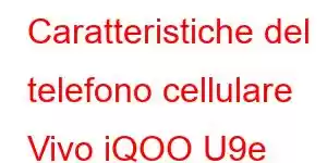 Caratteristiche del telefono cellulare Vivo iQOO U9e