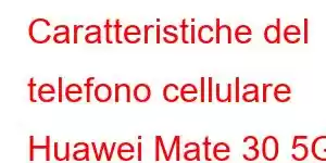 Caratteristiche del telefono cellulare Huawei Mate 30 5G