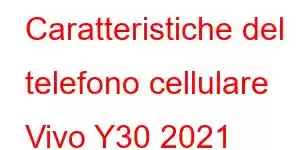 Caratteristiche del telefono cellulare Vivo Y30 2021