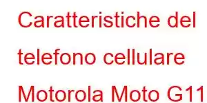 Caratteristiche del telefono cellulare Motorola Moto G111