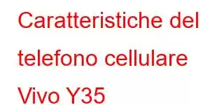 Caratteristiche del telefono cellulare Vivo Y35