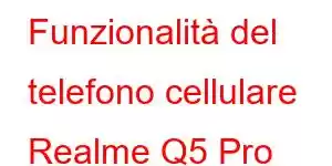 Funzionalità del telefono cellulare Realme Q5 Pro