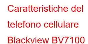 Caratteristiche del telefono cellulare Blackview BV7100