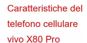 Caratteristiche del telefono cellulare vivo X80 Pro