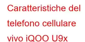 Caratteristiche del telefono cellulare vivo iQOO U9x