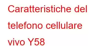 Caratteristiche del telefono cellulare vivo Y58