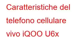 Caratteristiche del telefono cellulare vivo iQOO U6x