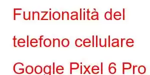 Funzionalità del telefono cellulare Google Pixel 6 Pro