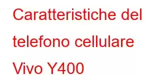 Caratteristiche del telefono cellulare Vivo Y400