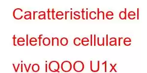 Caratteristiche del telefono cellulare vivo iQOO U1x