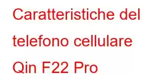 Caratteristiche del telefono cellulare Qin F22 Pro