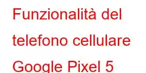 Funzionalità del telefono cellulare Google Pixel 5