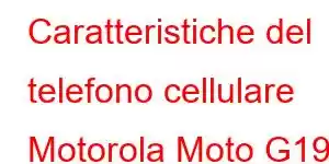 Caratteristiche del telefono cellulare Motorola Moto G19