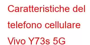 Caratteristiche del telefono cellulare Vivo Y73s 5G