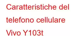 Caratteristiche del telefono cellulare Vivo Y103t