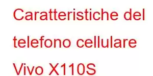 Caratteristiche del telefono cellulare Vivo X110S