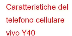 Caratteristiche del telefono cellulare vivo Y40