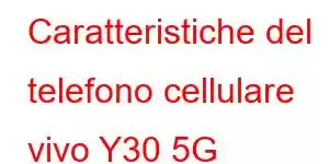 Caratteristiche del telefono cellulare vivo Y30 5G