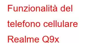 Funzionalità del telefono cellulare Realme Q9x