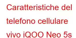 Caratteristiche del telefono cellulare vivo iQOO Neo 5s