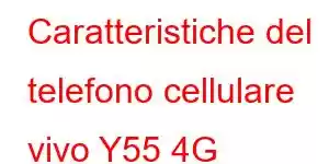 Caratteristiche del telefono cellulare vivo Y55 4G