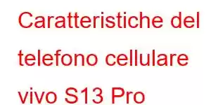 Caratteristiche del telefono cellulare vivo S13 Pro