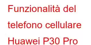 Funzionalità del telefono cellulare Huawei P30 Pro nuova edizione