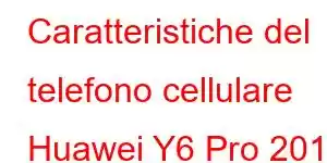 Caratteristiche del telefono cellulare Huawei Y6 Pro 2019