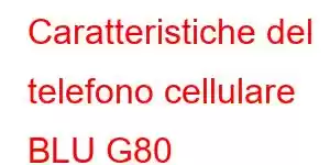 Caratteristiche del telefono cellulare BLU G80