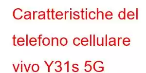 Caratteristiche del telefono cellulare vivo Y31s 5G