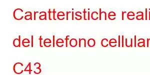 Caratteristiche reali del telefono cellulare C43