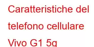 Caratteristiche del telefono cellulare Vivo G1 5g