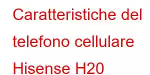 Caratteristiche del telefono cellulare Hisense H20