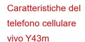 Caratteristiche del telefono cellulare vivo Y43m