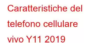 Caratteristiche del telefono cellulare vivo Y11 2019