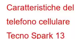 Caratteristiche del telefono cellulare Tecno Spark 13