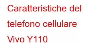 Caratteristiche del telefono cellulare Vivo Y110