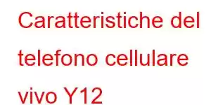 Caratteristiche del telefono cellulare vivo Y12