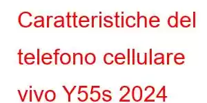 Caratteristiche del telefono cellulare vivo Y55s 2024