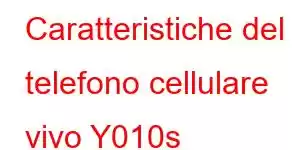 Caratteristiche del telefono cellulare vivo Y010s