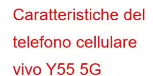 Caratteristiche del telefono cellulare vivo Y55 5G