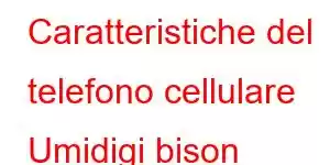 Caratteristiche del telefono cellulare Umidigi bison