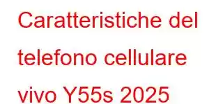 Caratteristiche del telefono cellulare vivo Y55s 2025