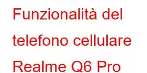 Funzionalità del telefono cellulare Realme Q6 Pro